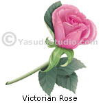 Victorian Rose