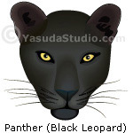 Panther (Black Leopard)