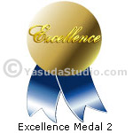 Excellence Medal 2