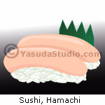 Sushi, Hamachi