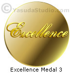 Excellence Medal 3