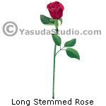 Long Stemmed Rose