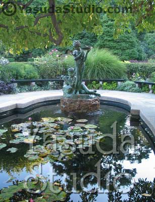 Burnett Fountain and Lily Pool