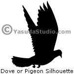 Pigeon, Dove Silhouette