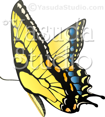 Butterfly (Tiger Swallowtail) graphic